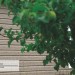 Сайдинг Ю-Пласт TIMBERBLOCK Пихта (Тимберблок) Cахалинская купить в Выборге