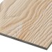 Фиброцементные панели FCSPRO Decor Wood Лиственница купить в Выборге