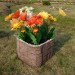 Цветник КАНЬОН купить в Выборге