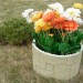 Цветник КАНЬОН купить в Выборге