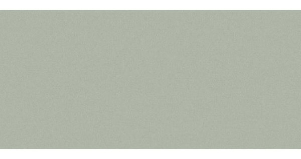 Сайдинг CEDRAL smooth (гладкий) С06 купить в Выборге